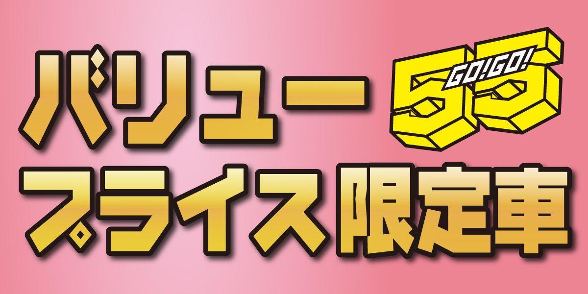 55バリュープライス限定車